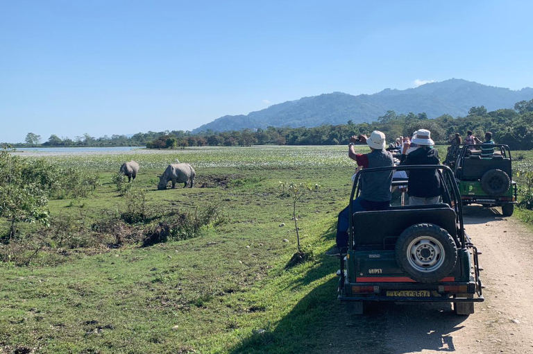 Safari im Kaziranga-Nationalpark