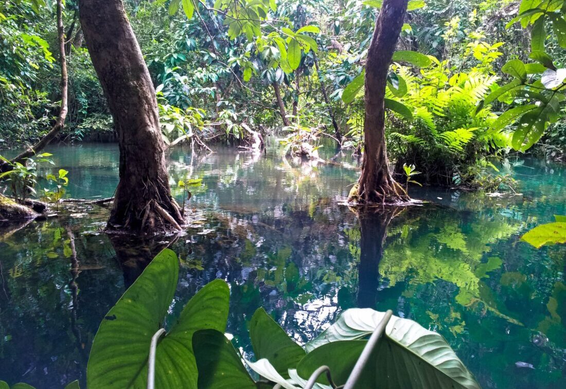 Laos Natur