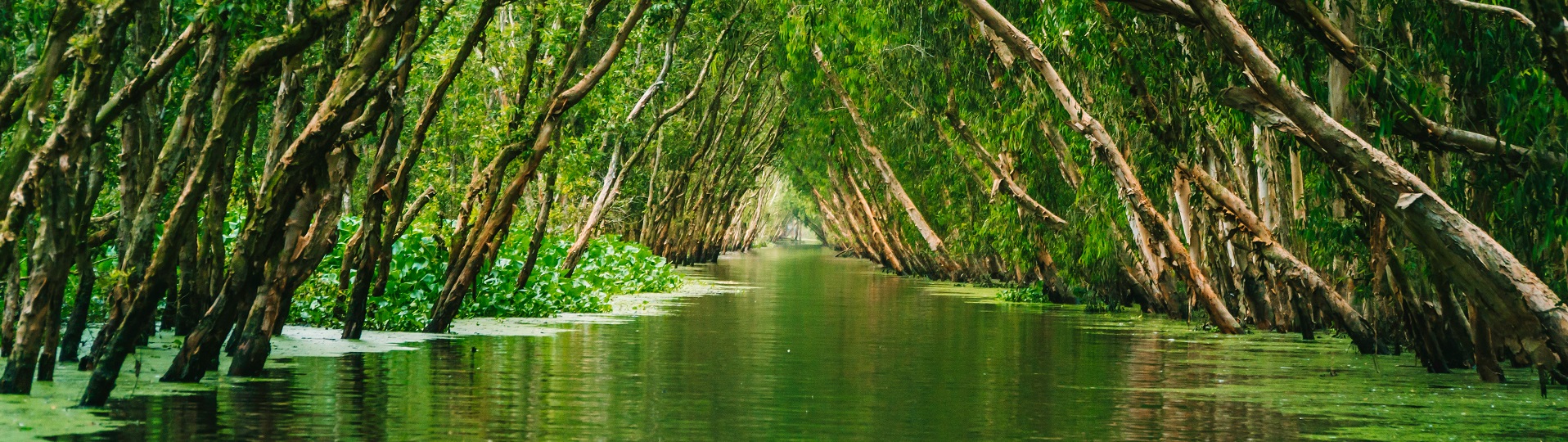 Mekong-Delta, Vietnam